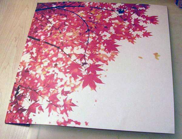 Patterned Paper for fall cards